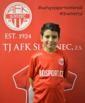 Alex Poghosjan