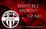 Rozhovory s trenéry 